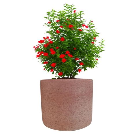 Maceta Luna 20cm Terracota Deroma-1