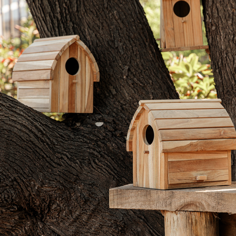 Casita De Pajaros Teak-6