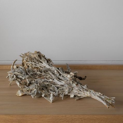 Flor Seca Brisa-2