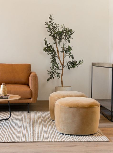 Pouf Lazario Velvet Pardo-0
