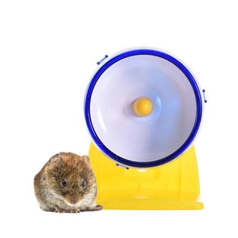 Rueda Para Hamsters Para Correr Y Jugar Spinner Silencioso-1
