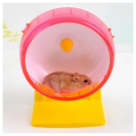 Rueda Para Hamsters Para Correr Y Jugar Spinner Silencioso-4