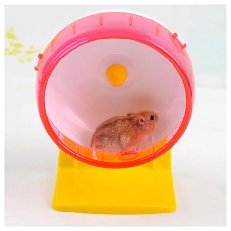 Rueda Para Hamsters Para Correr Y Jugar Spinner Silencioso-5