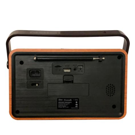 Radio Parlante Bluetooth AUX USB FM AM SW Vintage Grosseto-2