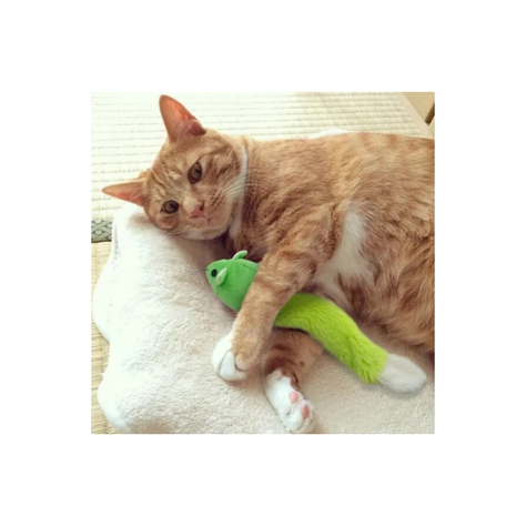 Ratón Con Tubo De Catnip Verde-1