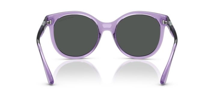 LENTE DE SOL ARMANI EXCHANGE | AX4120S 823687 - Púrpura traslúcido brillante-2