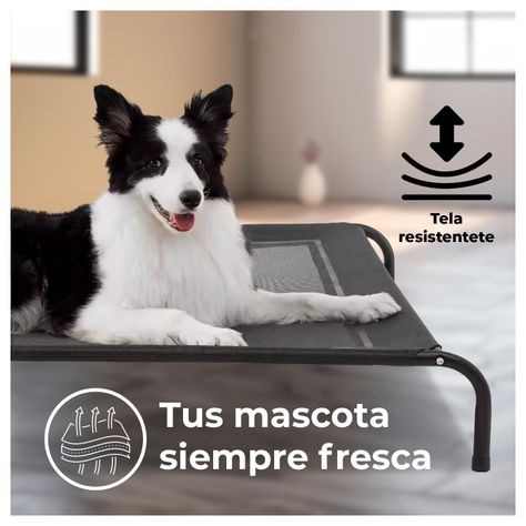 Cama Elevada para tu Perro con Malla Transpirable 122*72*21cm-1