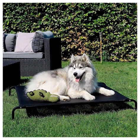 Cama Elevada para tu Perro con Malla Transpirable 122*72*21cm-5