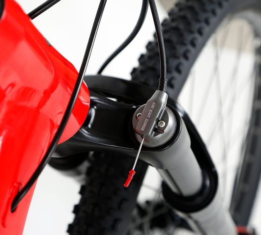 Bicicleta 29 Suspension Mamba Roja Radical Mountain-2