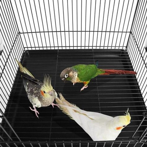 Jaula Rodante Loro ave Cacatua Canario 139cm 80934-3