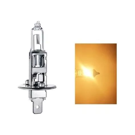 Ampolleta Halogena H1 24v 100w Normal Pack 10 Unidades-3