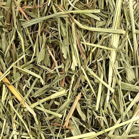 Heno Alfalfa 500g Roedores Conejos Cuy Hamster-3