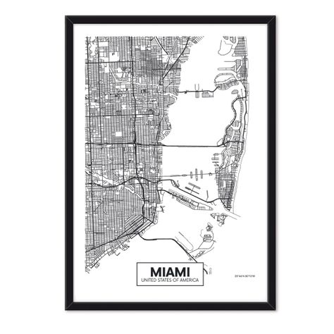Cuadro Individual  Mapa Miami -0