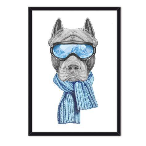 Cuadro Individual Pit Bull -0