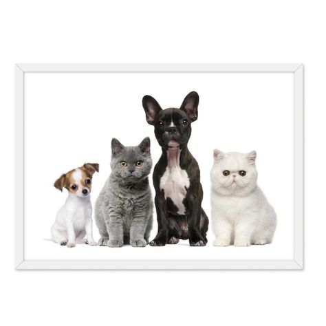 Cuadro  Individual Dog And Cat -0