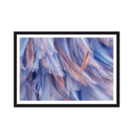 Cuadro individual Plumas Celestes-0