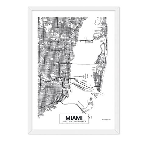 Cuadro Individual  Mapa Miami -0