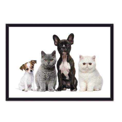 Cuadro  Individual Dog And Cat -0