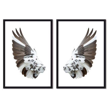 Set doble de Cuadros Alas Bicolor -0