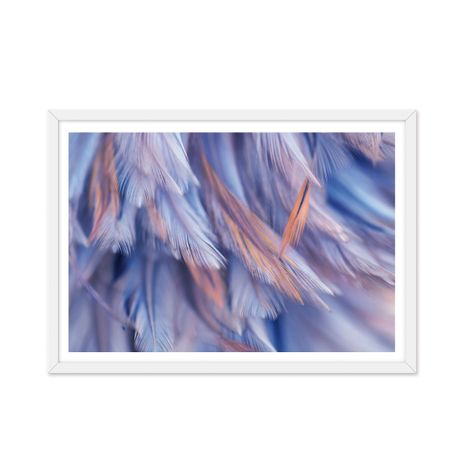 Cuadro individual Plumas Celestes-0