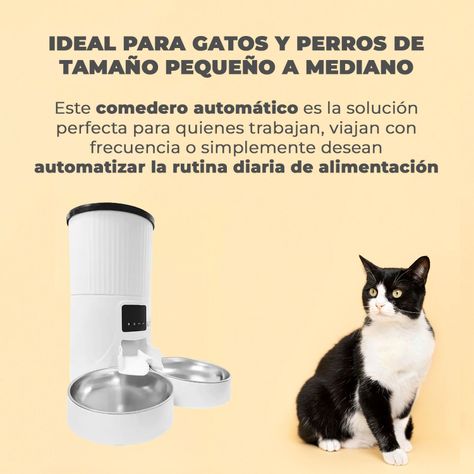 Dispensador Automatico Doble Comida Mascotas 4 lts. Wifi-3