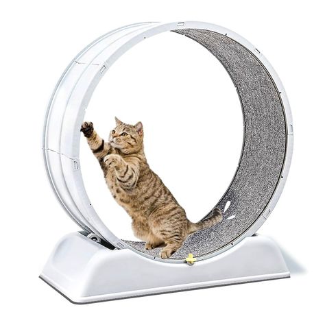 Rueda Para Gatos Segura XXL de Entrenamiento-0