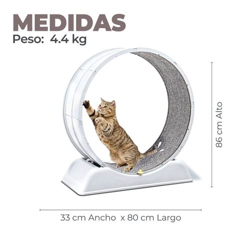 Rueda Para Gatos Segura XXL de Entrenamiento-1