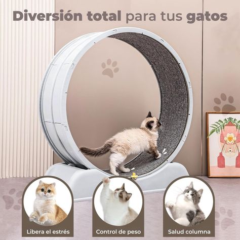Rueda Para Gatos Segura XXL de Entrenamiento-3