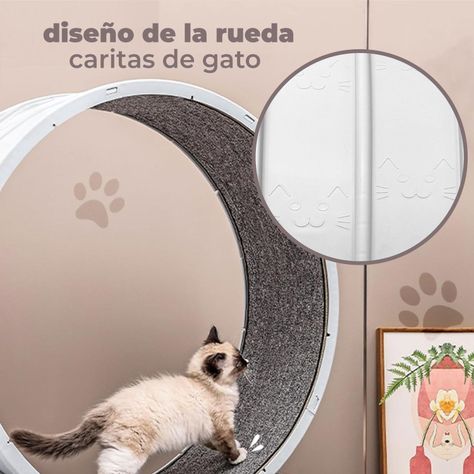 Rueda Para Gatos Segura XXL de Entrenamiento-4