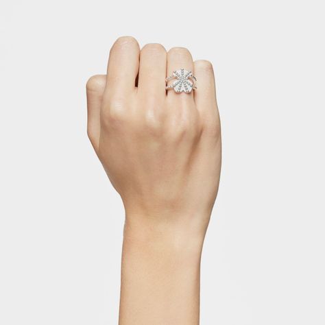 Anillo grande de plata con motivo oso TOUS Grain-5