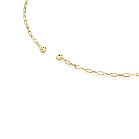 Collar corto con baño de oro 18 kt sobre plata Hold Oval-1