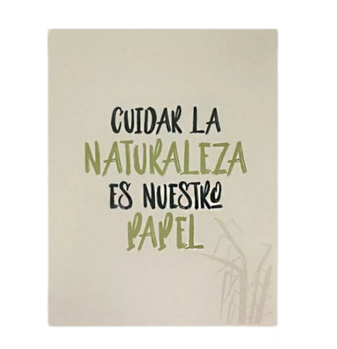 Resma A4 Ledesma Natural Ecológica 500 Hojas Caña De Azúcar-2