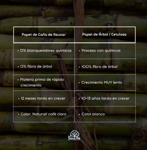 Resma A4 Ledesma Natural Ecológica 500 Hojas Caña De Azúcar-3