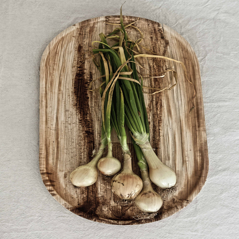 36 Bandejas Grandes 55cm x 30cm, Hoja De Palma-2