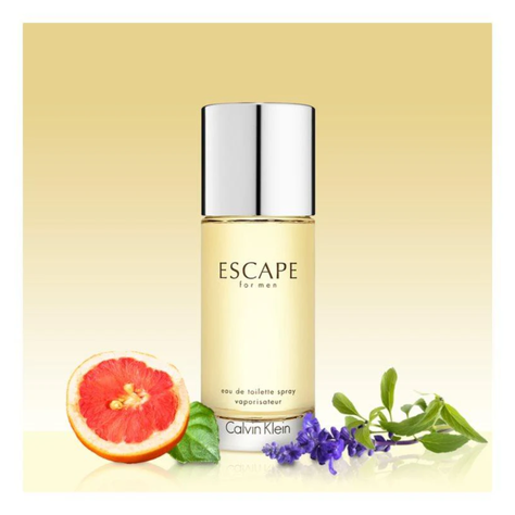Perfume Escape 100ml EDT Hombre Calvin Klein-1
