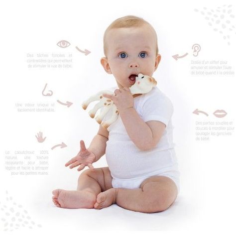 Sophie La Girafe - Set Sophie + Mordedor Sopure Para Bebes-3