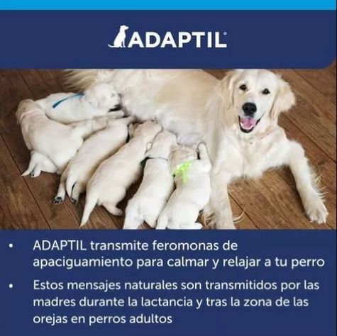 Collar anti estrés Adaptil Calm Perro Talla M/L 70 Cm-1