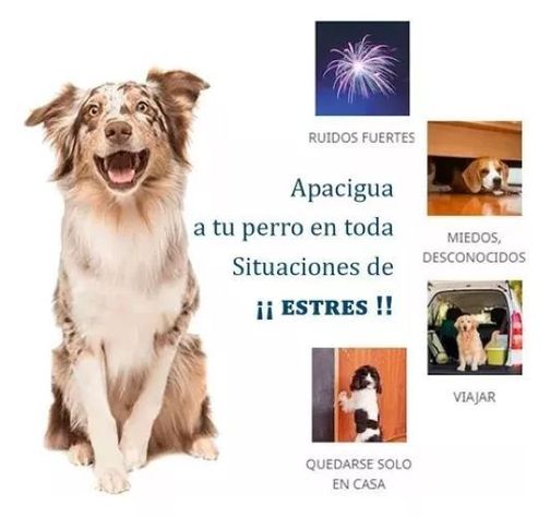 Collar anti estrés Adaptil Calm Perro Talla M/L 70 Cm-3