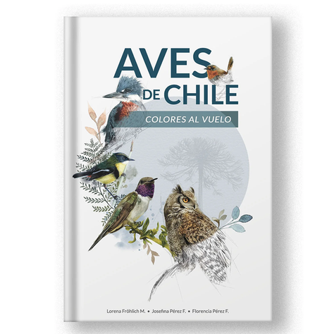 Libro Aves De Chile Colores Al Vuelo-0
