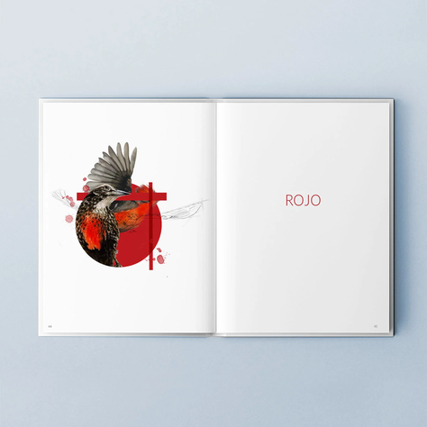 Libro Aves De Chile Colores Al Vuelo-4