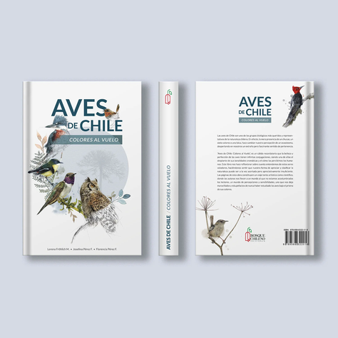 Libro Aves De Chile Colores Al Vuelo-6