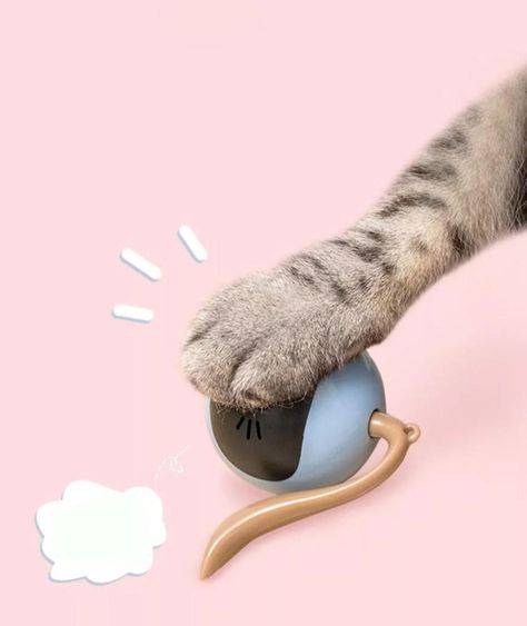 Juguete Gato Interactivo Pelota Inteligente Recargable Usb-2
