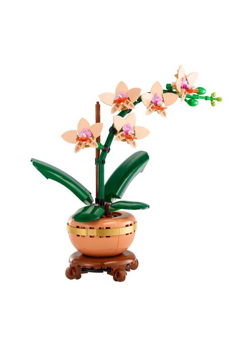 LEGO Botanicals Miniorquídea - 10343-1