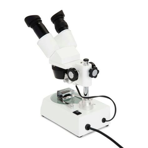 Microscopio Lupa Estereoscópica Celestron S10-60 -1