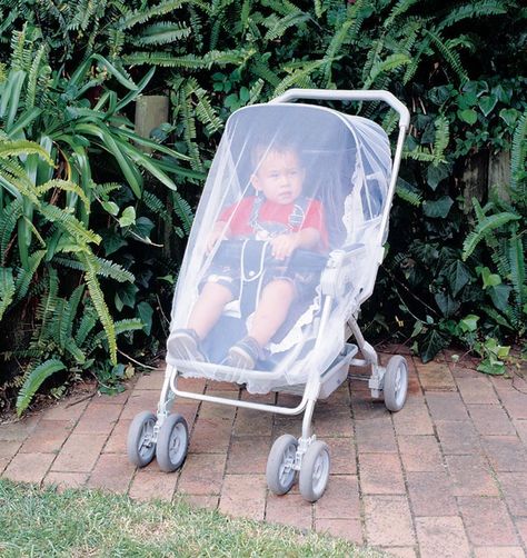 Malla Mosquitera Para Coches-2
