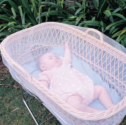 Malla Mosquitera Para Coches-3