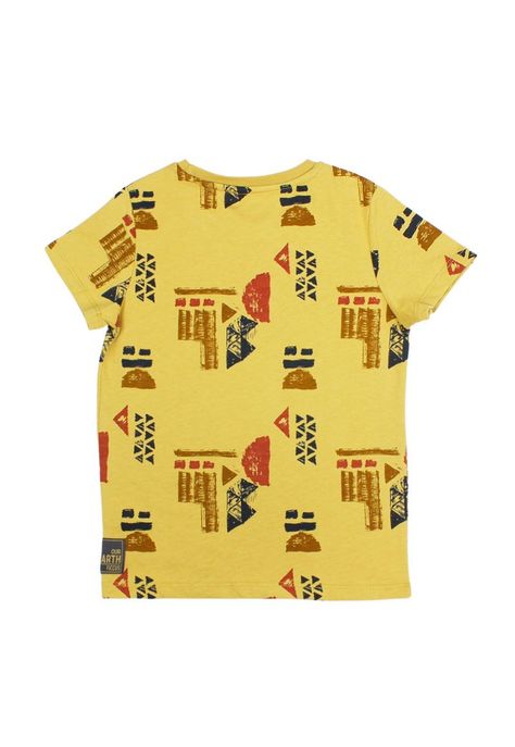 Polera kids niño estampada earth 232-1