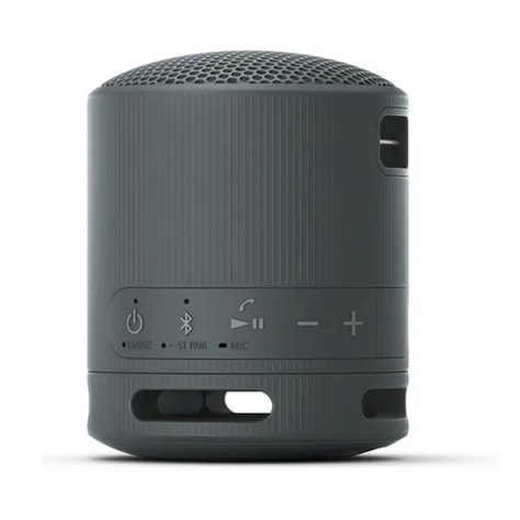PARLANTE PORTATIL SONY XB100 BLUETOOTH NEGRO-0