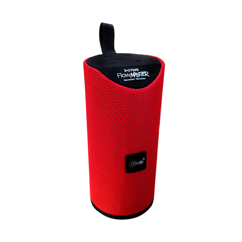 PARLANTE PORTATIL MICROLAB FLOW MASTER 08858-0
