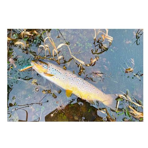 Señuelos Pesca para grandes capturas en Rio,17g-3